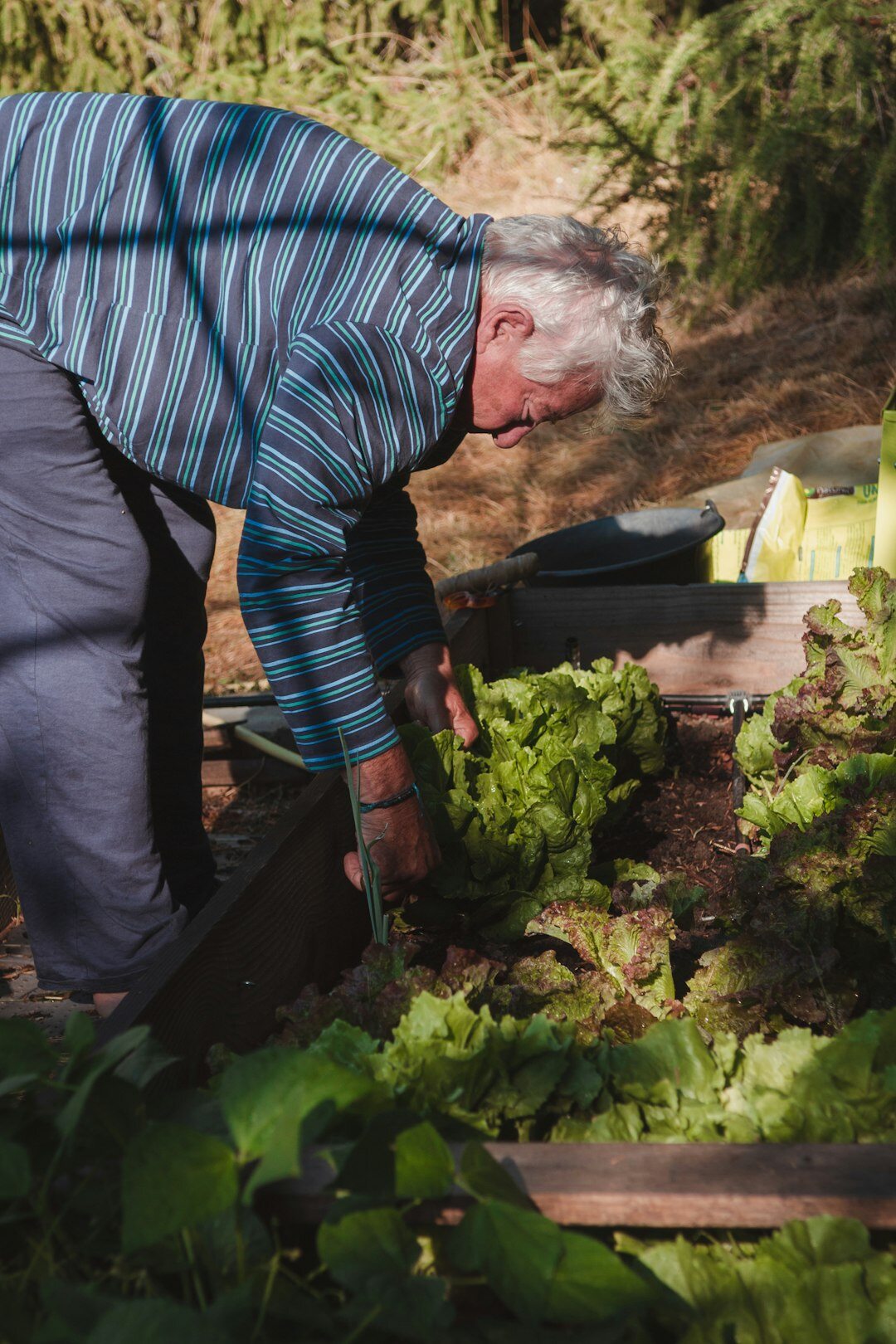 elderly woman tending garden