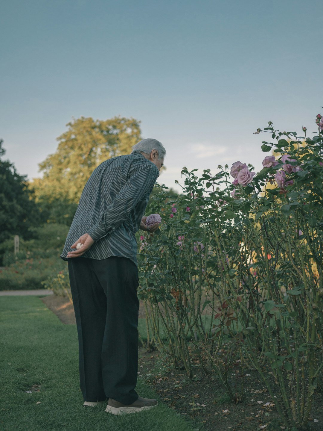 elderly woman tending garden