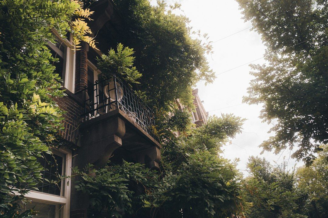 secret garden hidden in city