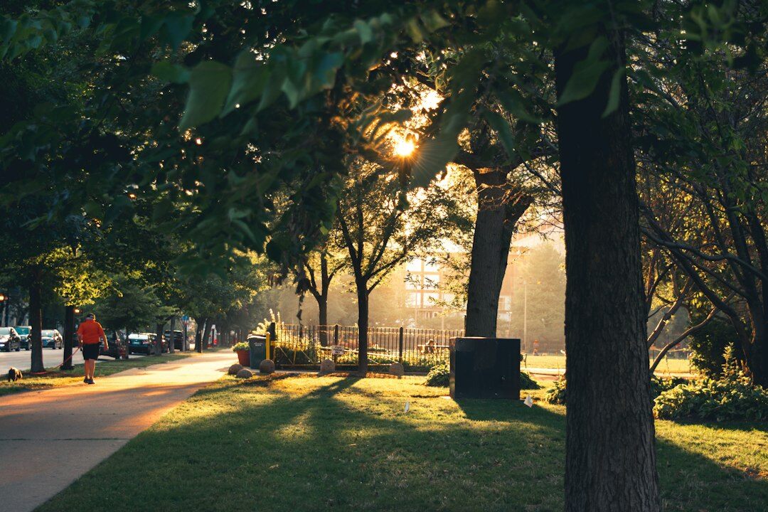city park at sunset