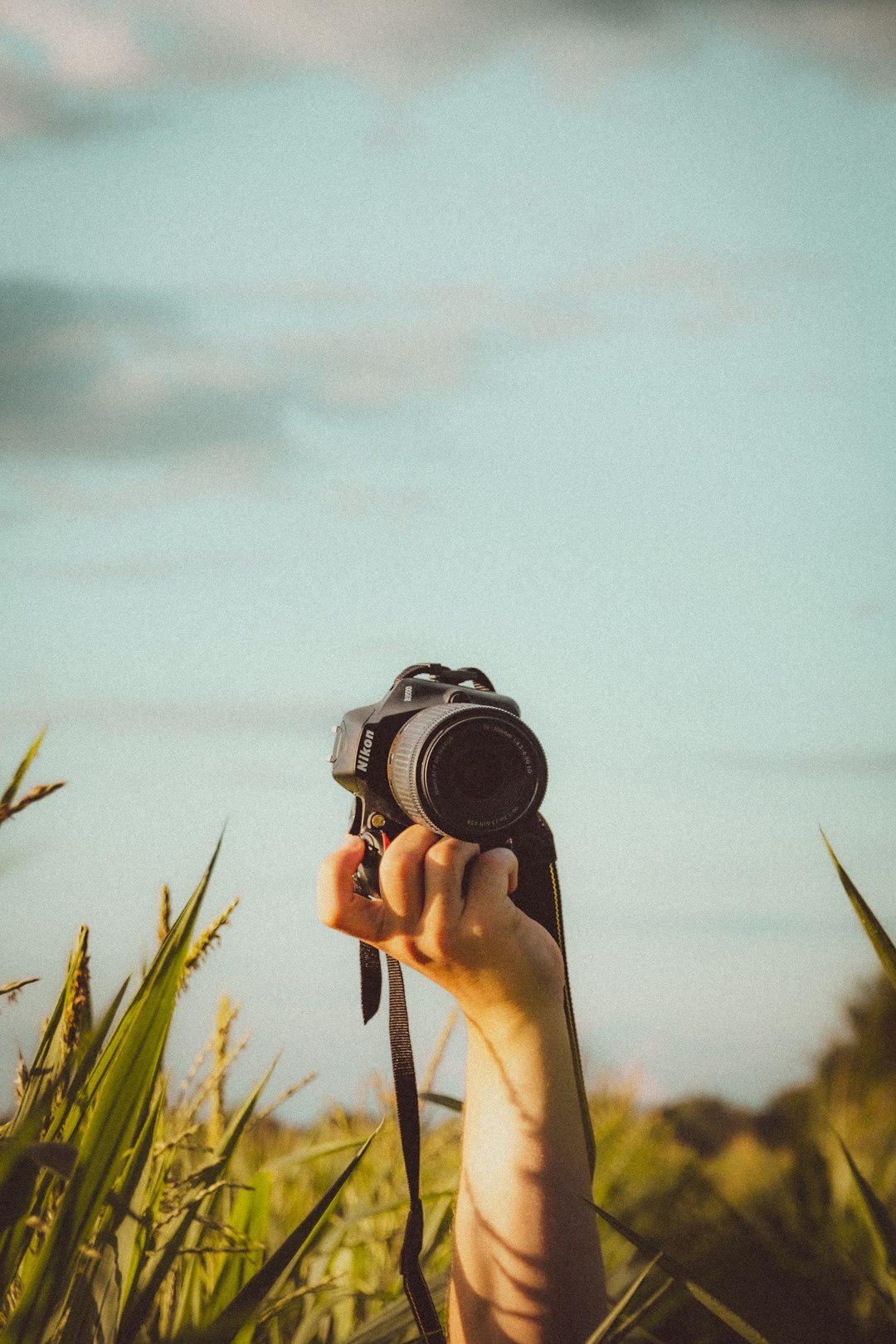 person photographing ordinary scene