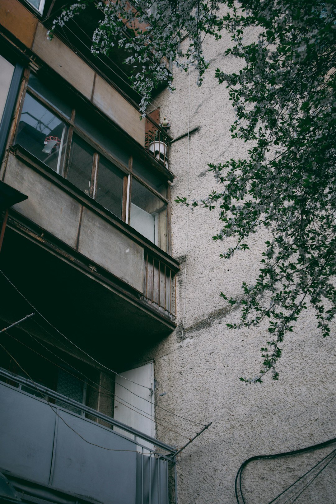 elderly woman watering plants on balcony